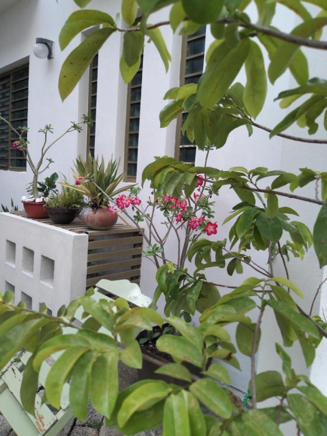 Appartamento Departamentos De La Reina Roja Palenque Esterno foto