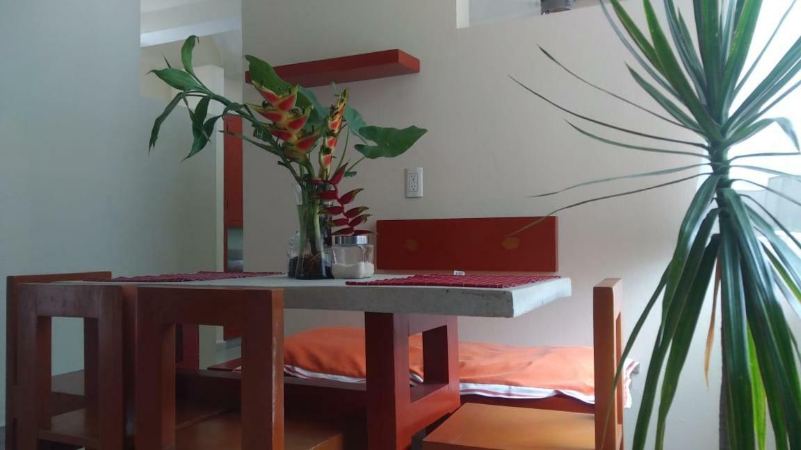 Appartamento Departamentos De La Reina Roja Palenque Esterno foto
